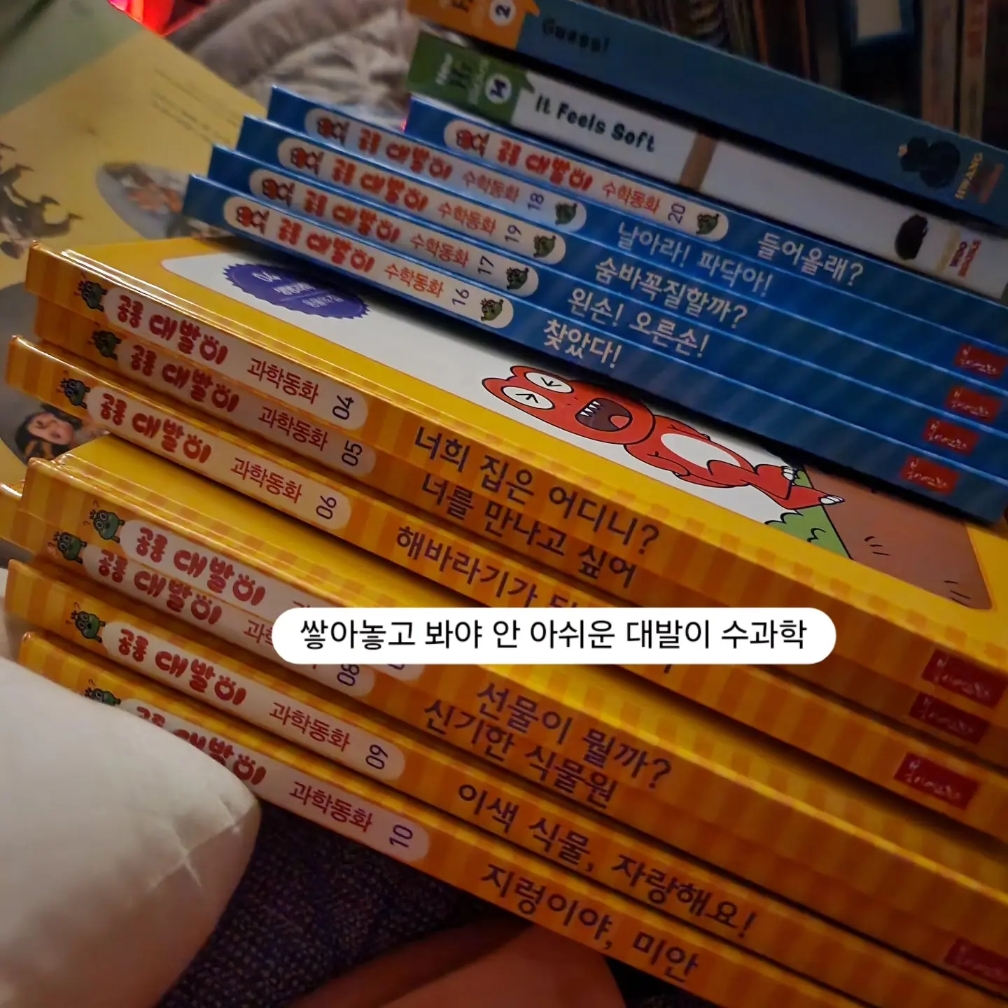 곰손 멤버십 12