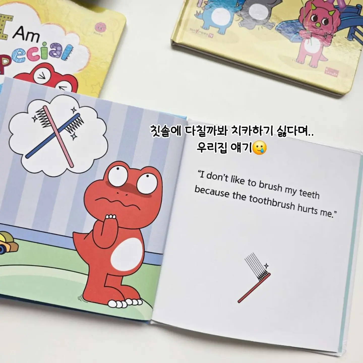 곰손 멤버십 8