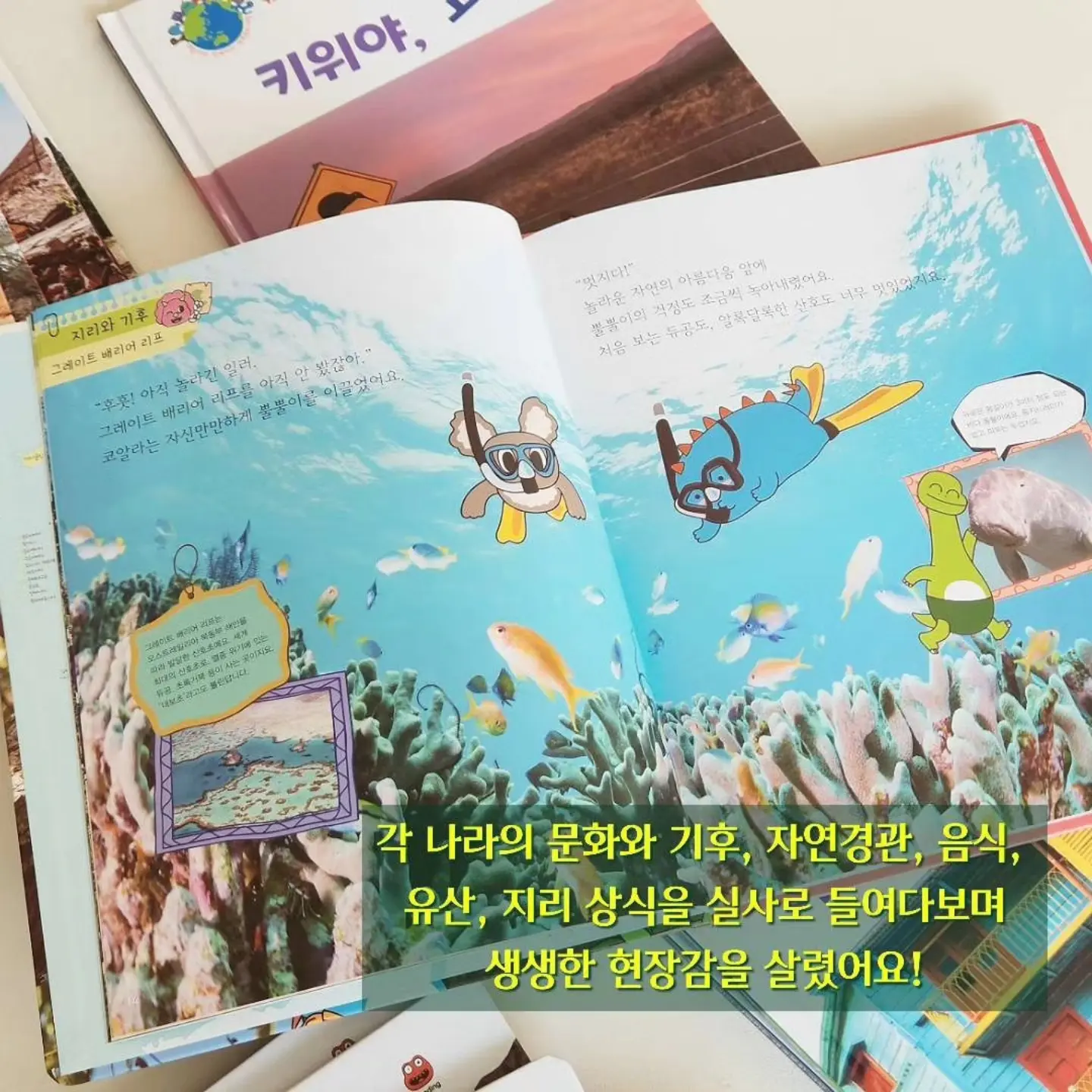 곰손 멤버십 10