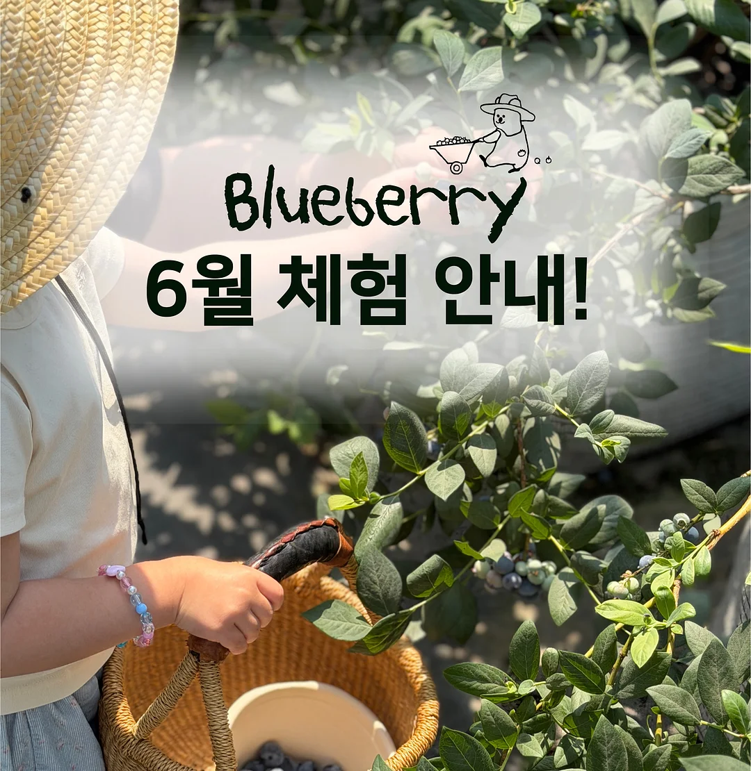 엔자임미 효소