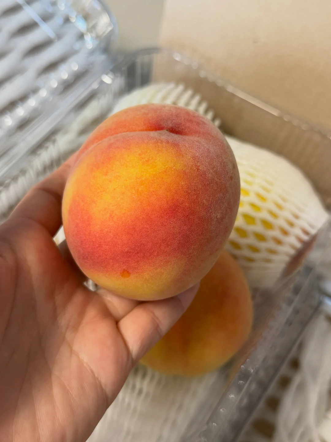 분리수거 거치대 2
