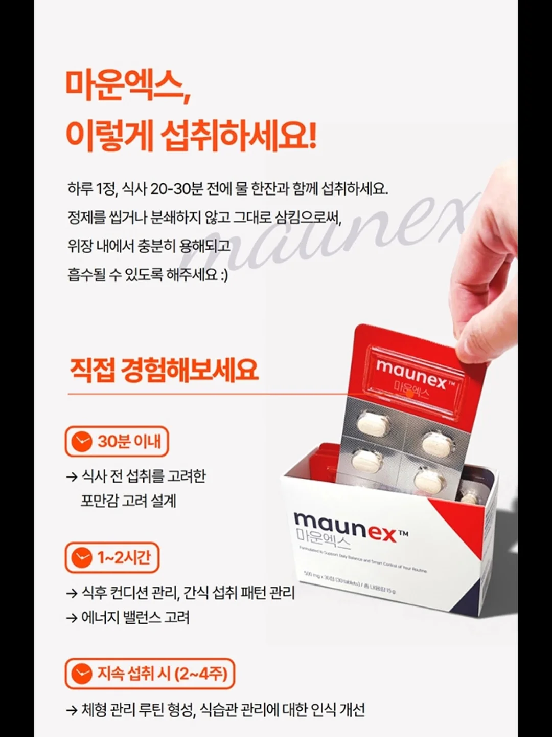 자브 보냉백팩 11