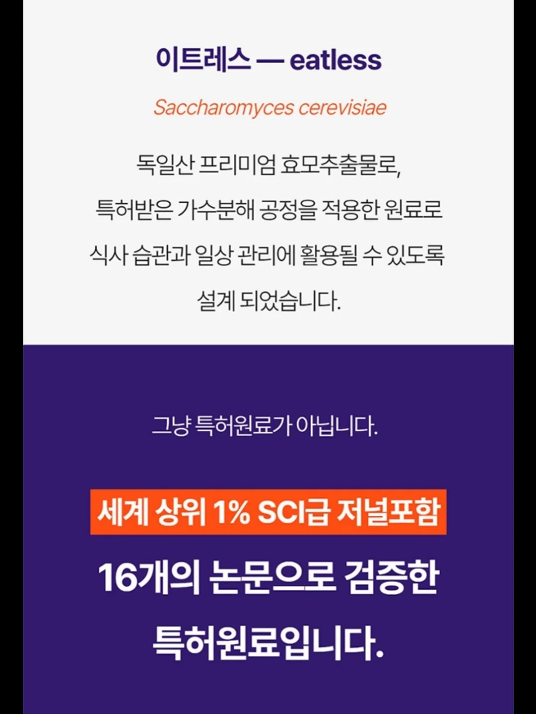 자브 보냉백팩 6