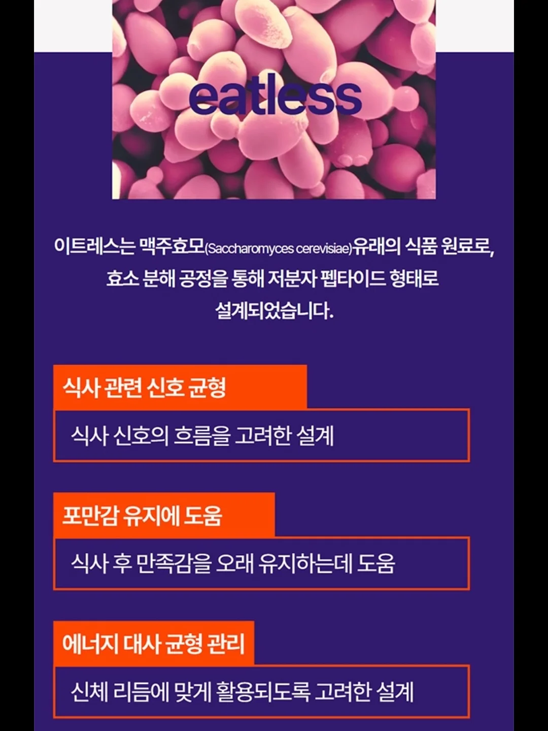 자브 보냉백팩 7