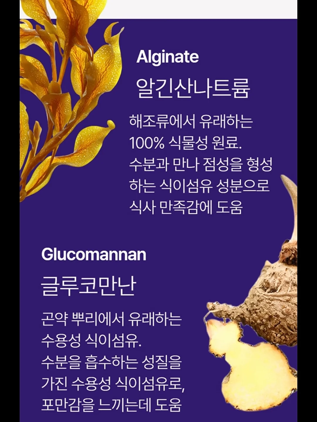자브 보냉백팩 8