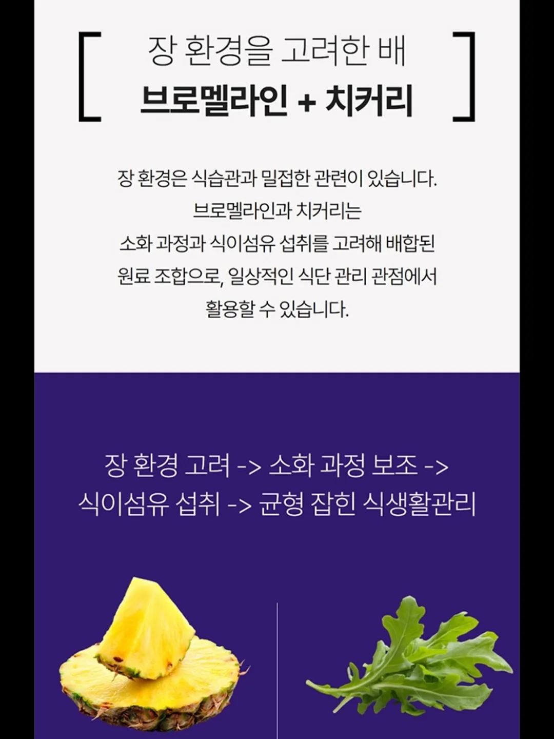 자브 보냉백팩 9