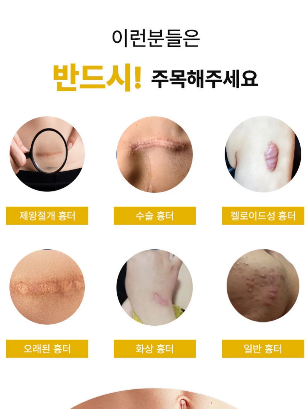 남이섬 입장권 16