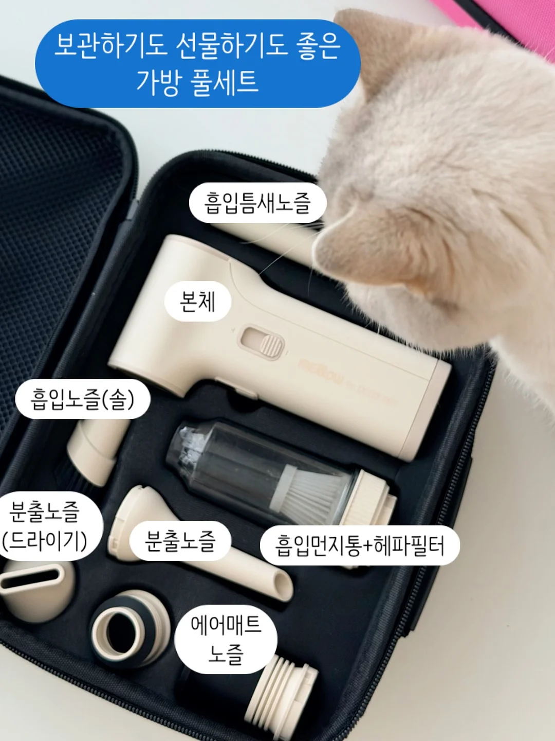 폴로 스트라이프티 9