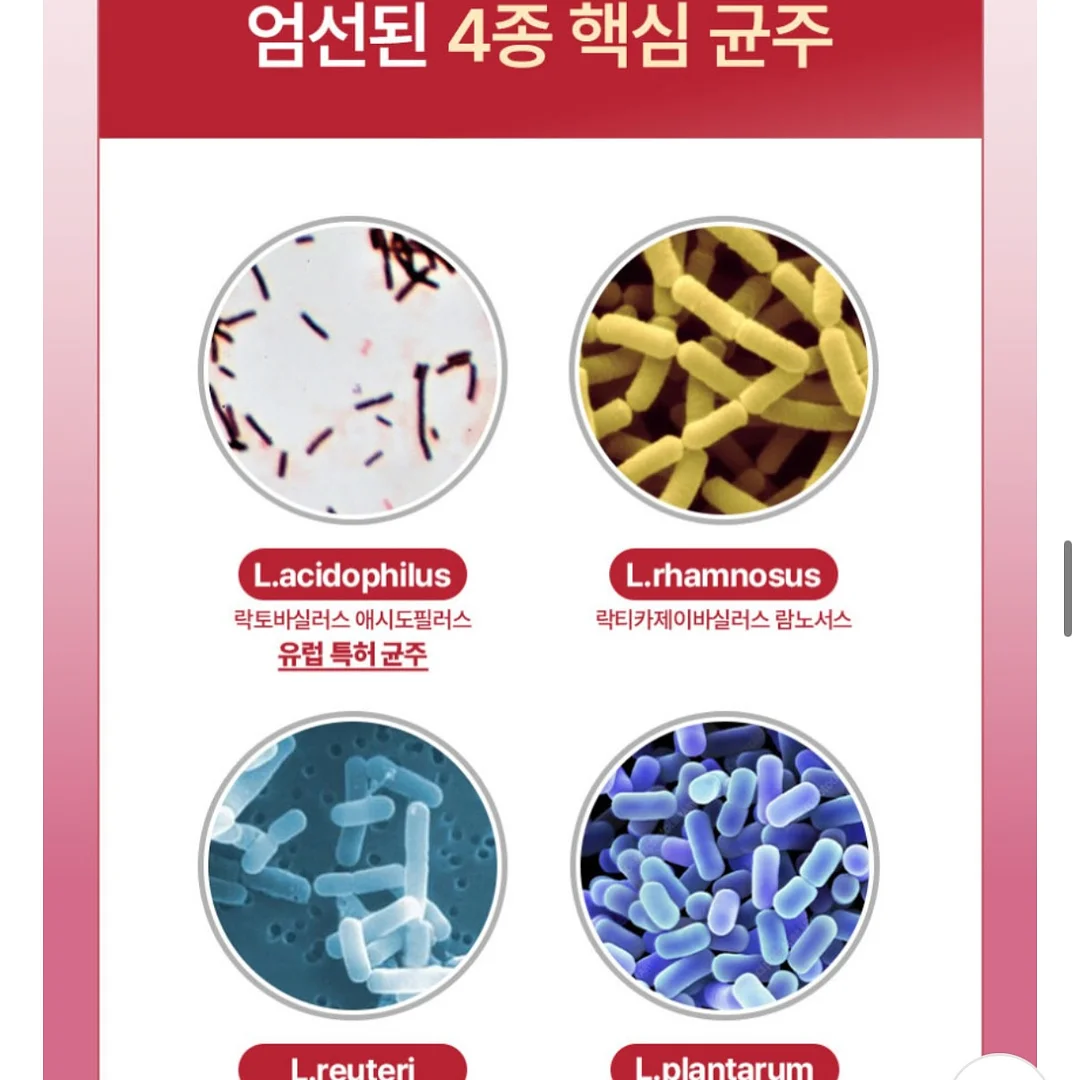 타요 탈것 도감 스티커북 14