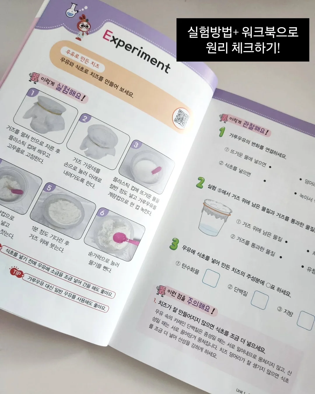 단가라 티 3