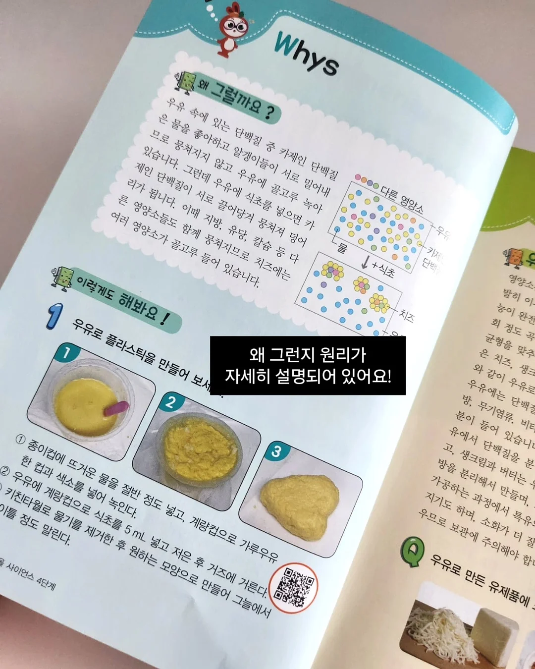 단가라 티 4