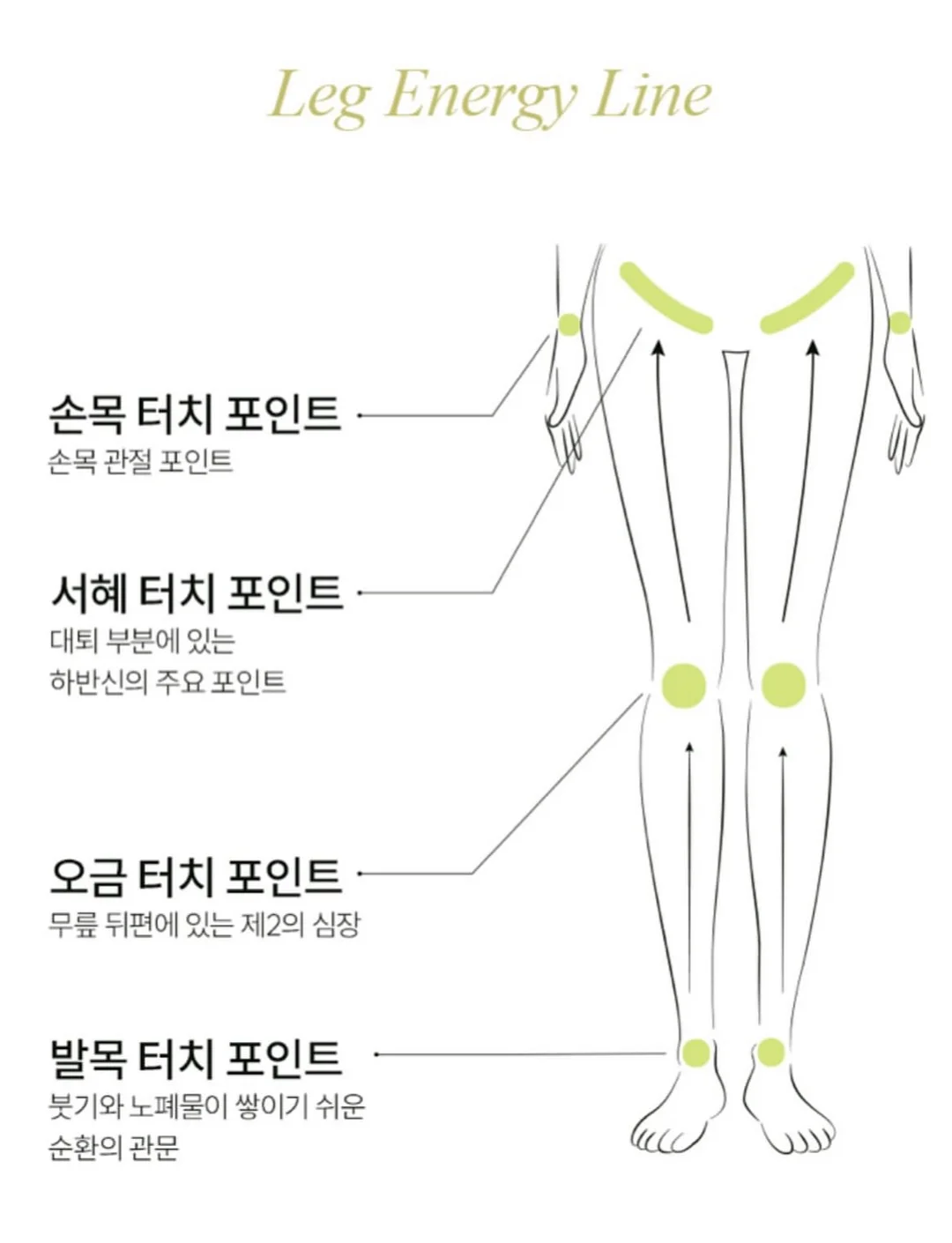 박규영 공항패션 스파 브랜드 의류 19