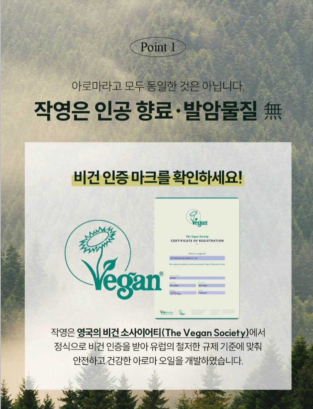 박규영 공항패션 스파 브랜드 의류 8
