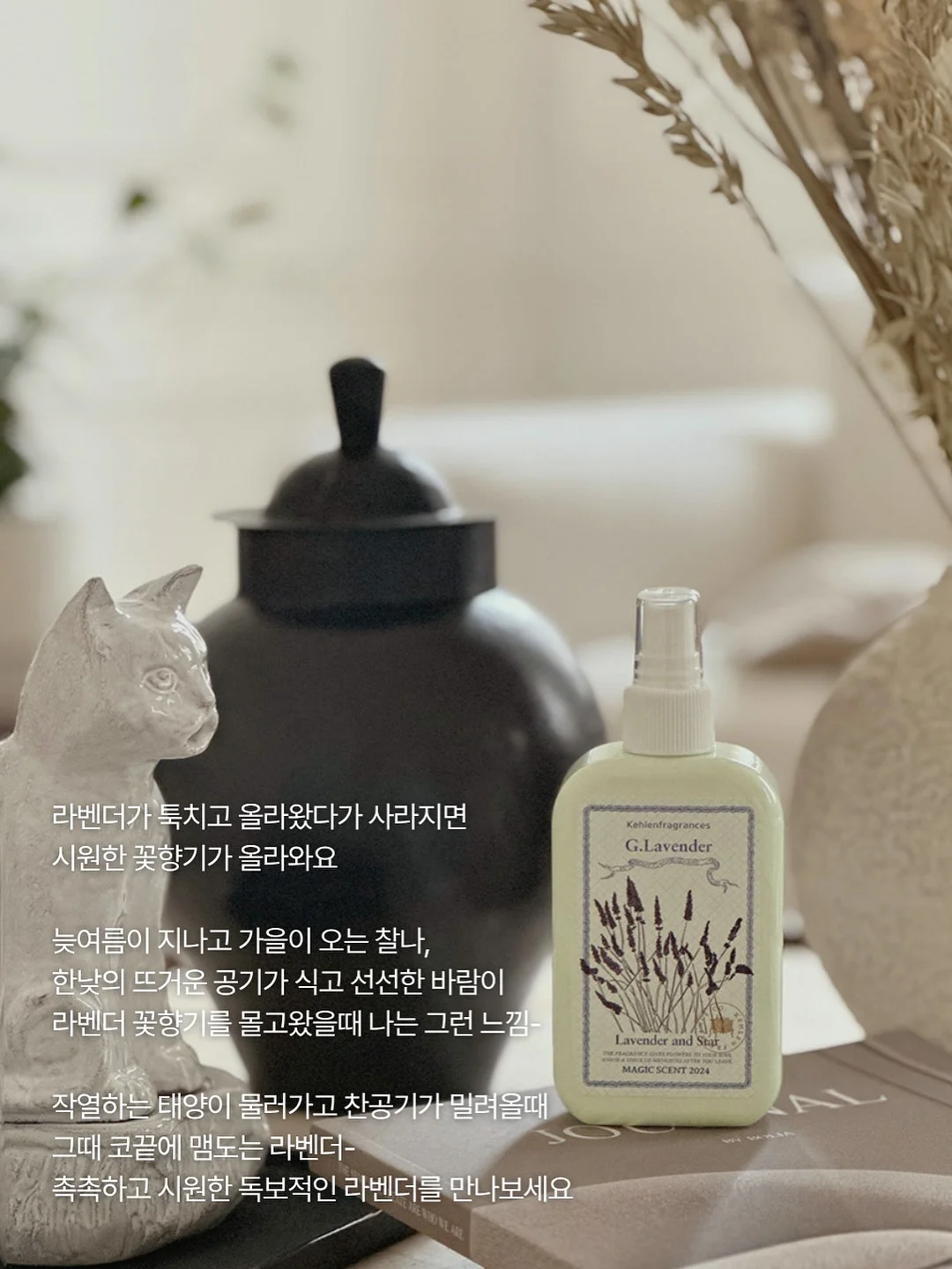 가디건 5