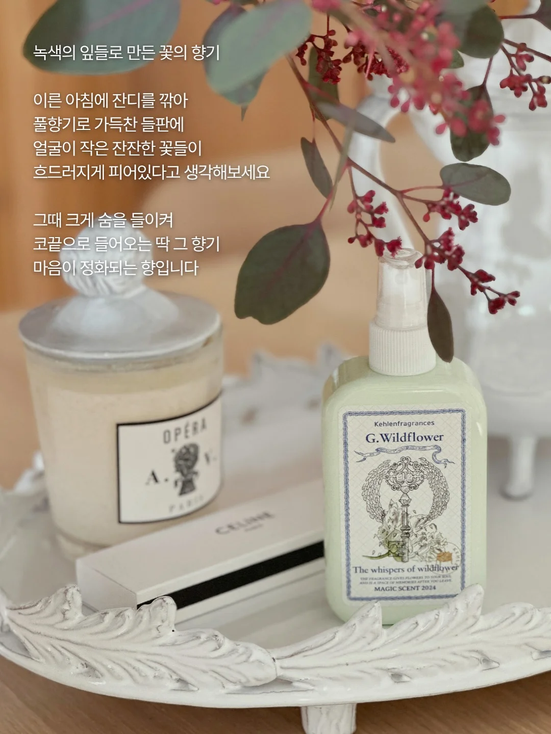 가디건 6
