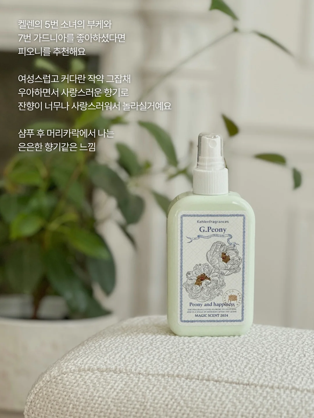가디건 7
