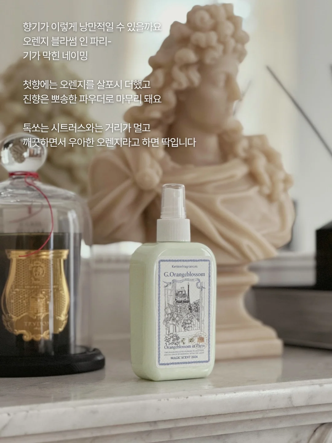 가디건 8
