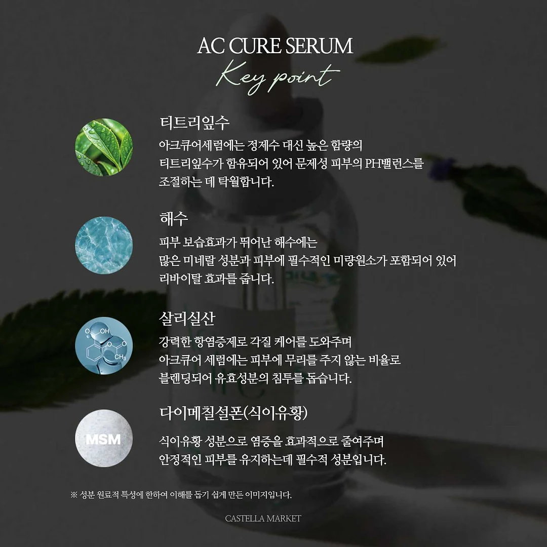 리본마테 시리즈 8