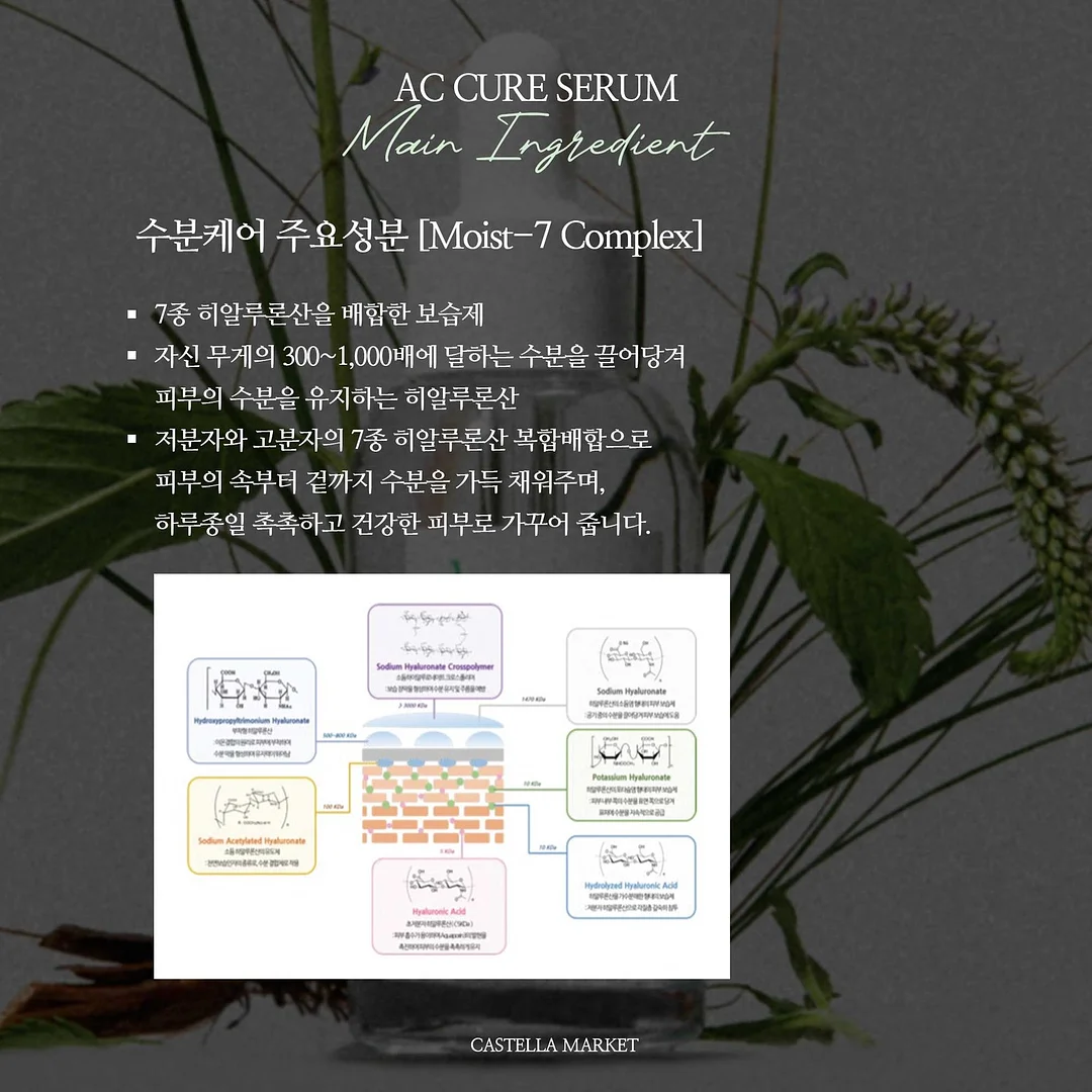 리본마테 시리즈 9