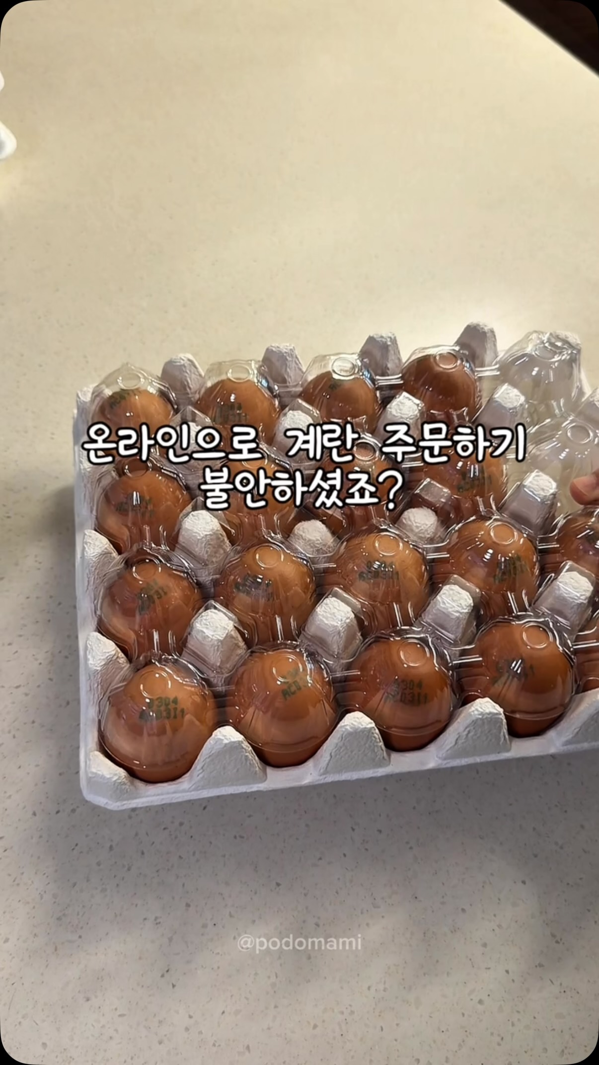피그먼트 점슛