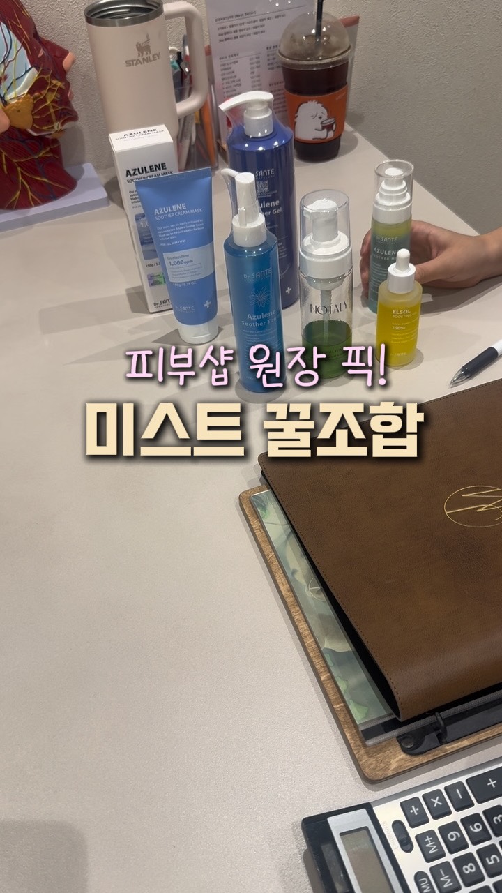 플리츠