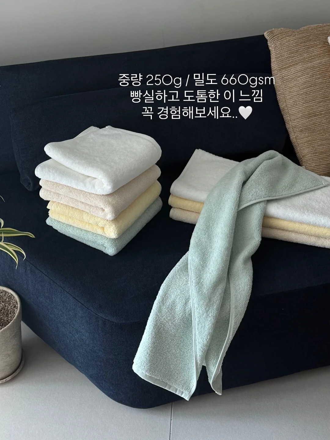 작은 씨앗 18