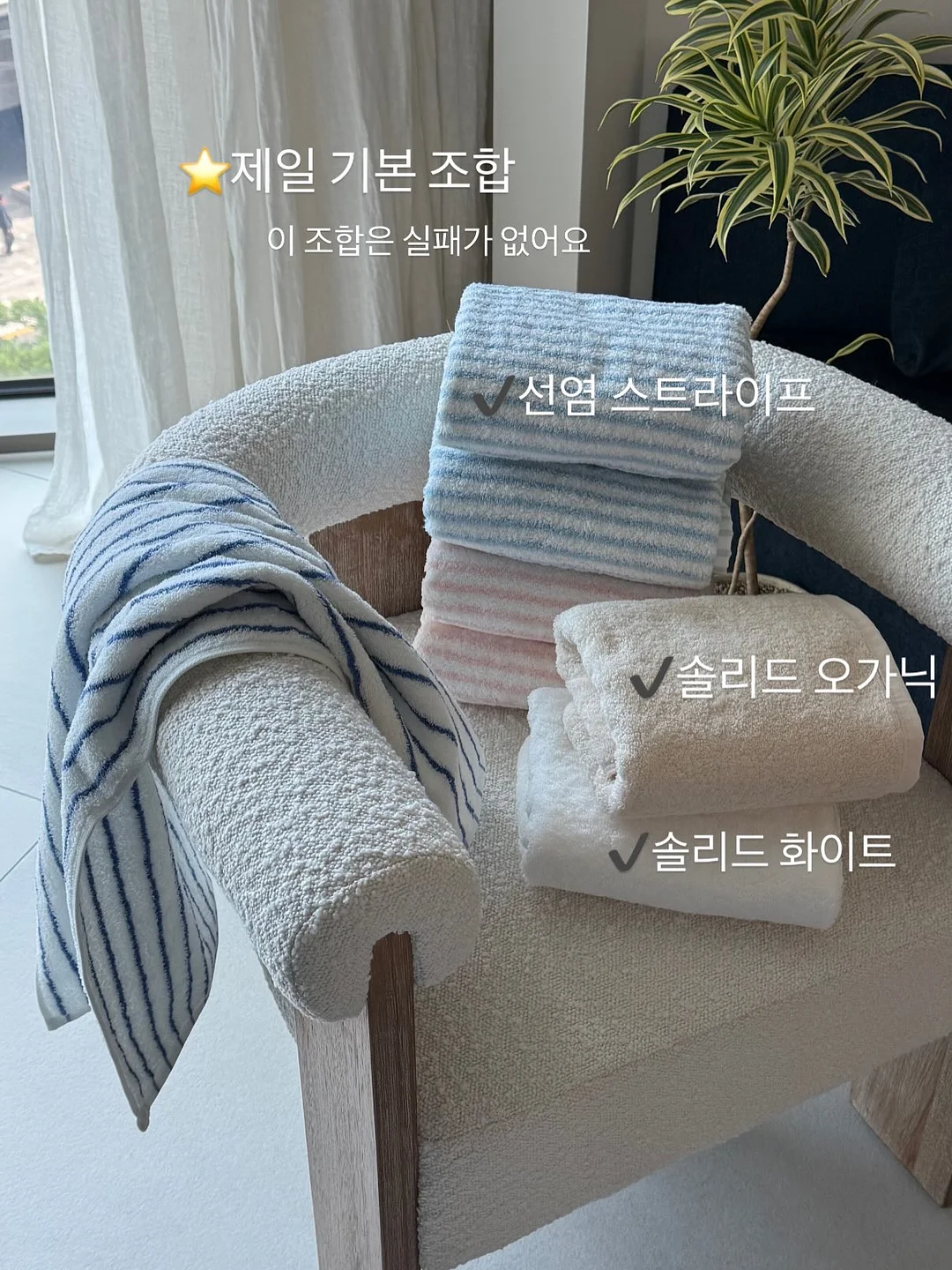 작은 씨앗 2