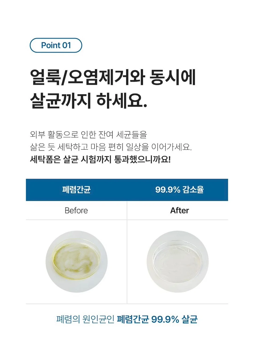 궁오일 17