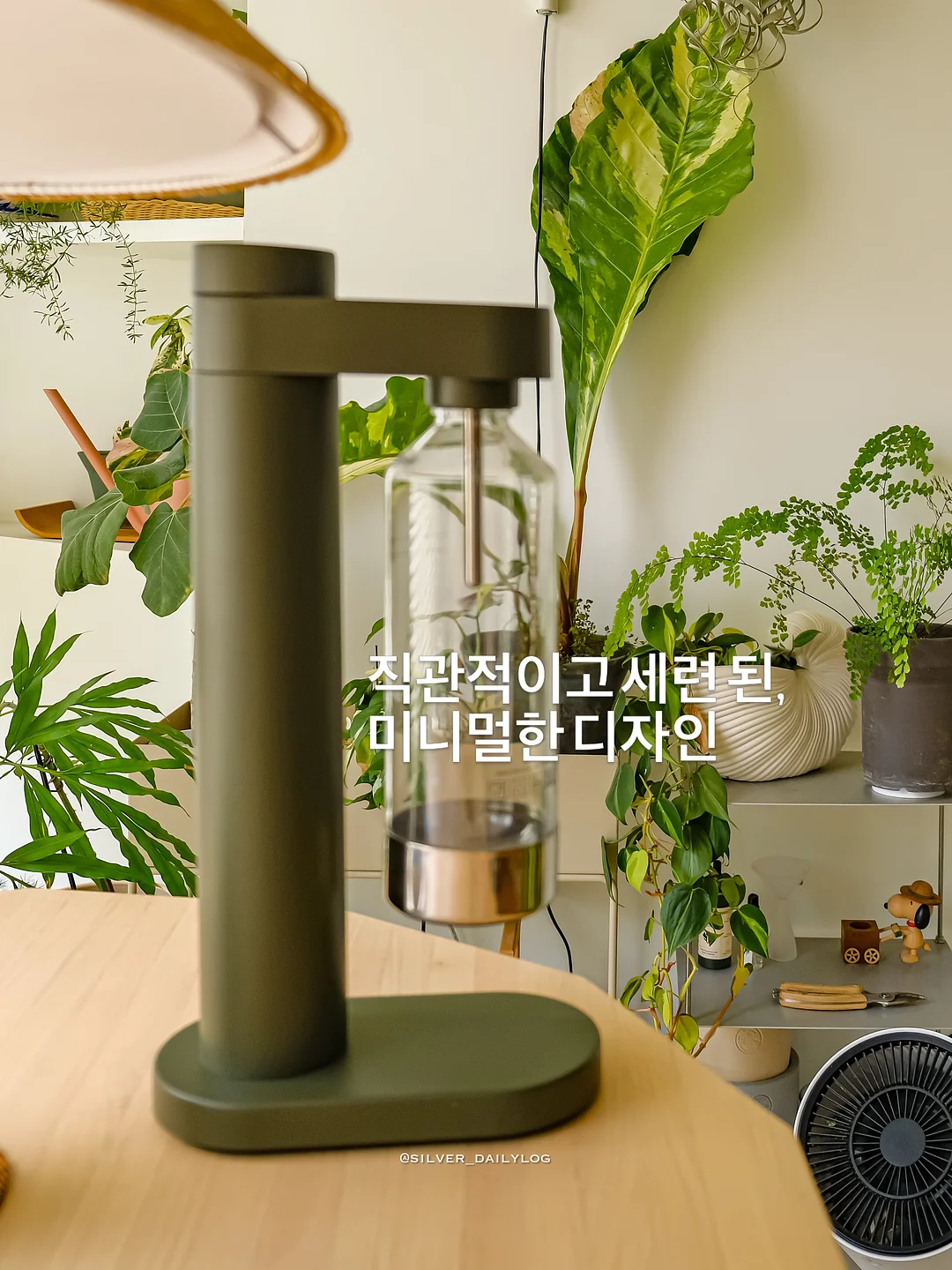 강아지 슬개골 영양제 2