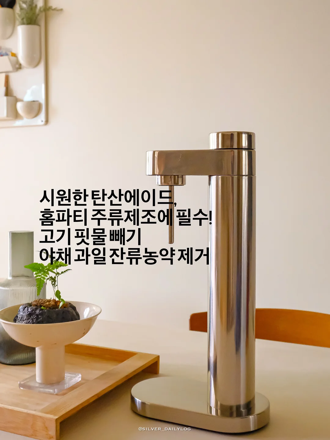 강아지 슬개골 영양제 9