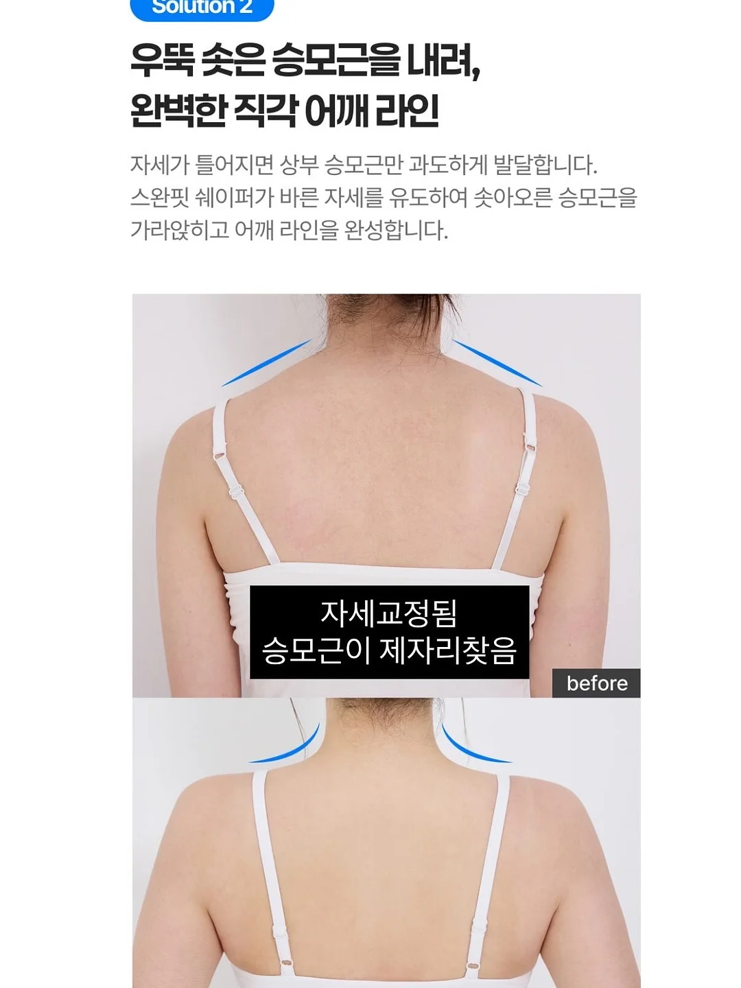 퍼플 12