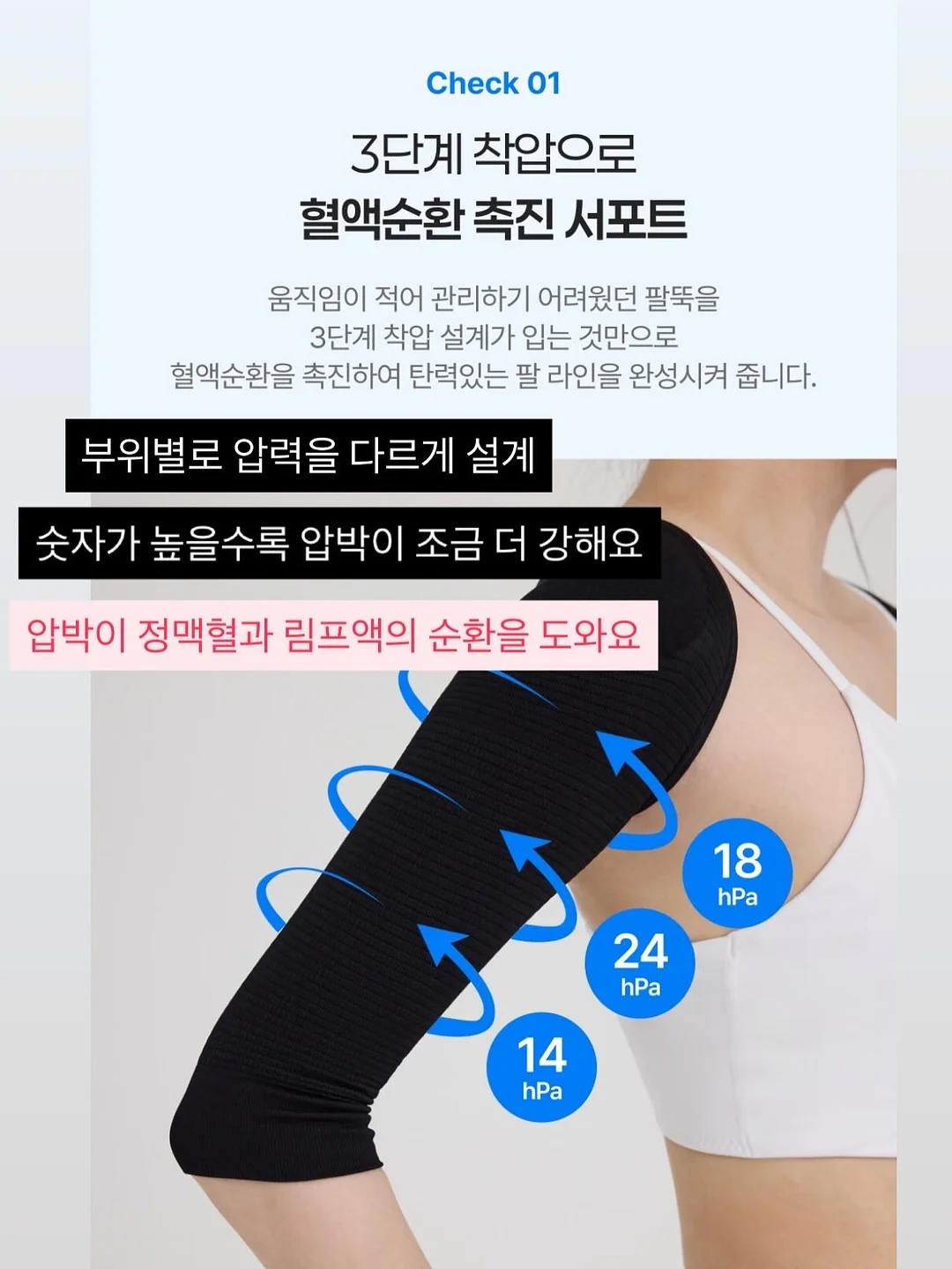 퍼플 6