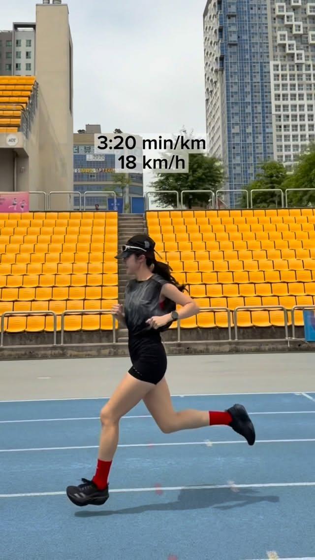 메이크업 패드
