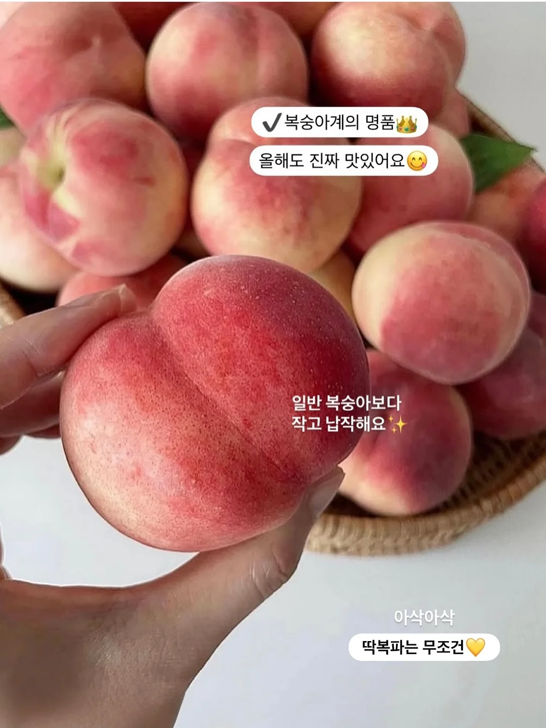 하램팬츠 3