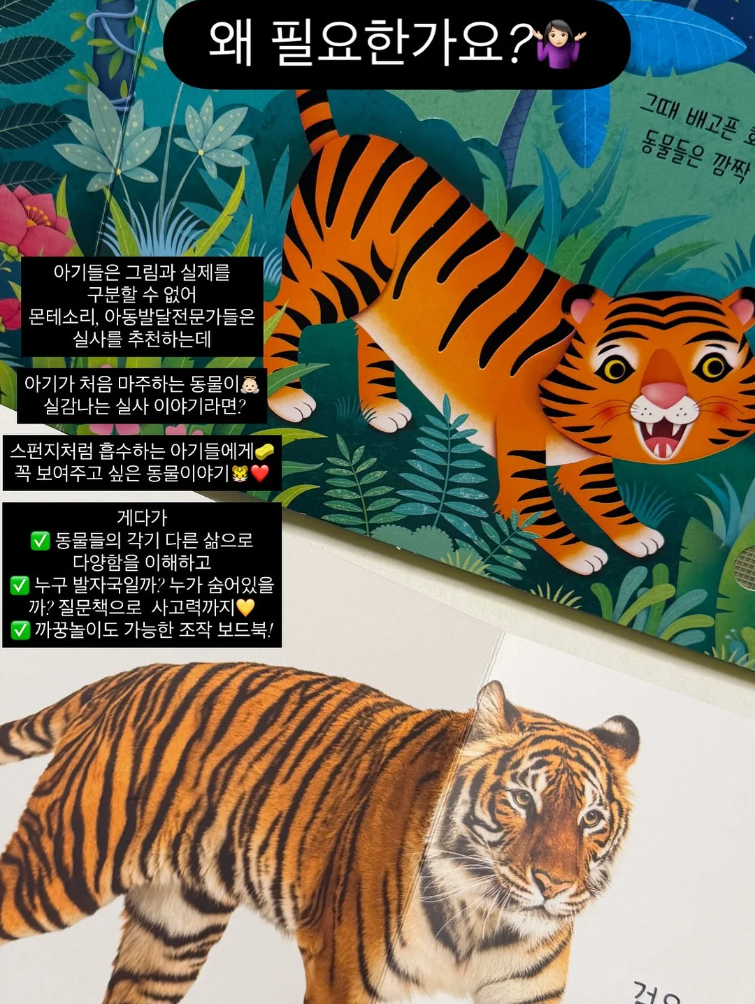 민트색 코디 2
