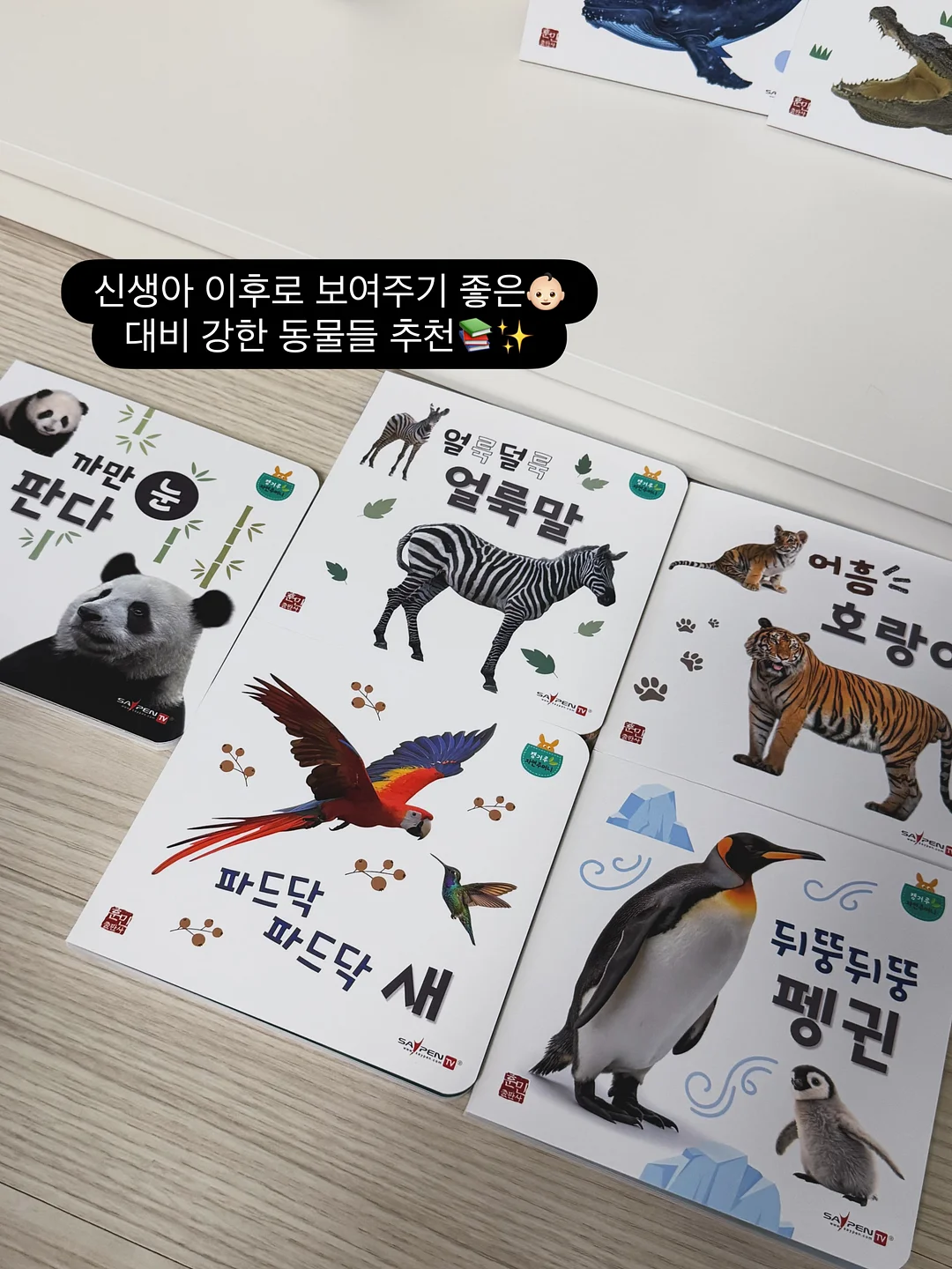 민트색 코디 5