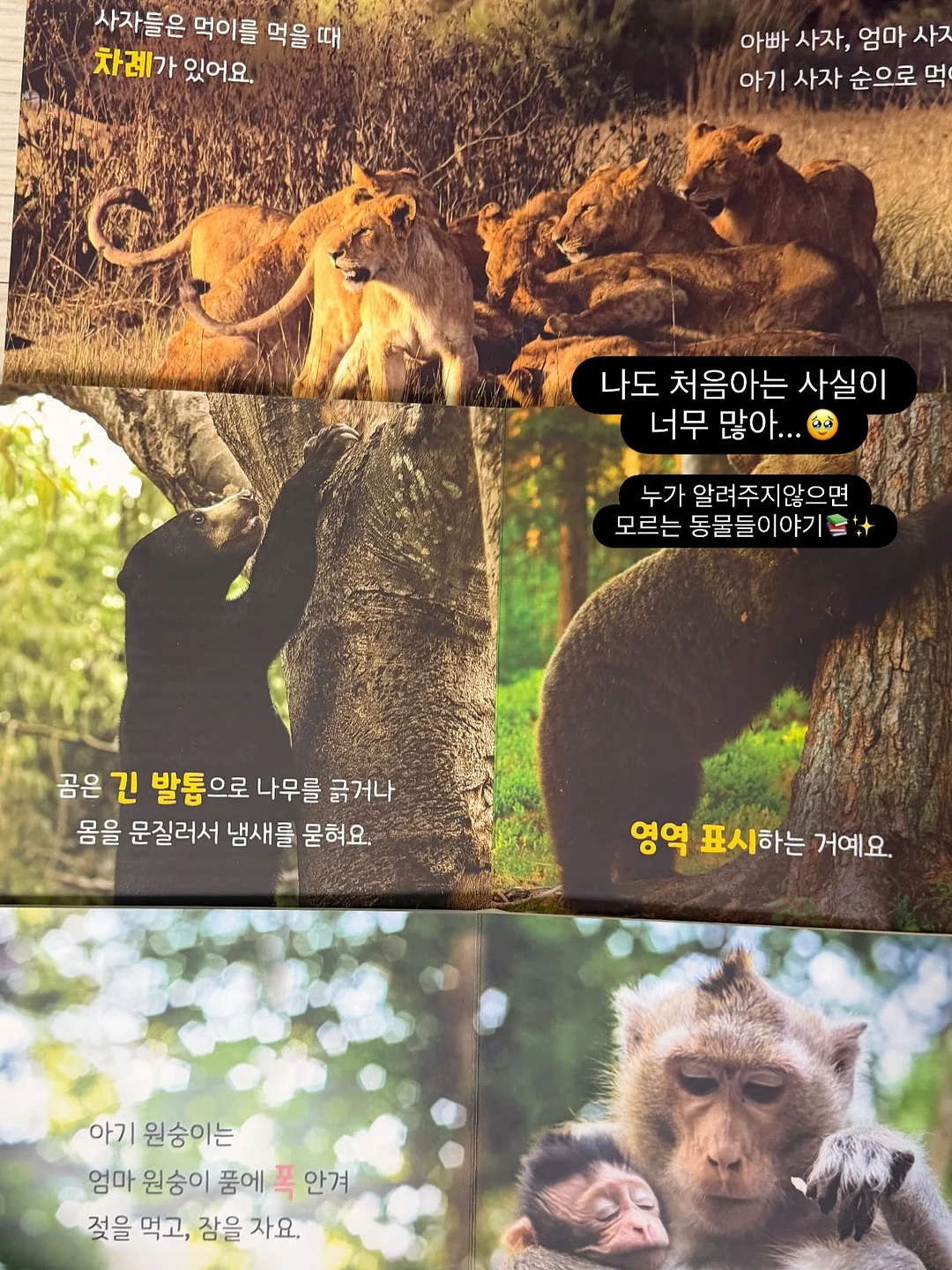 민트색 코디 6