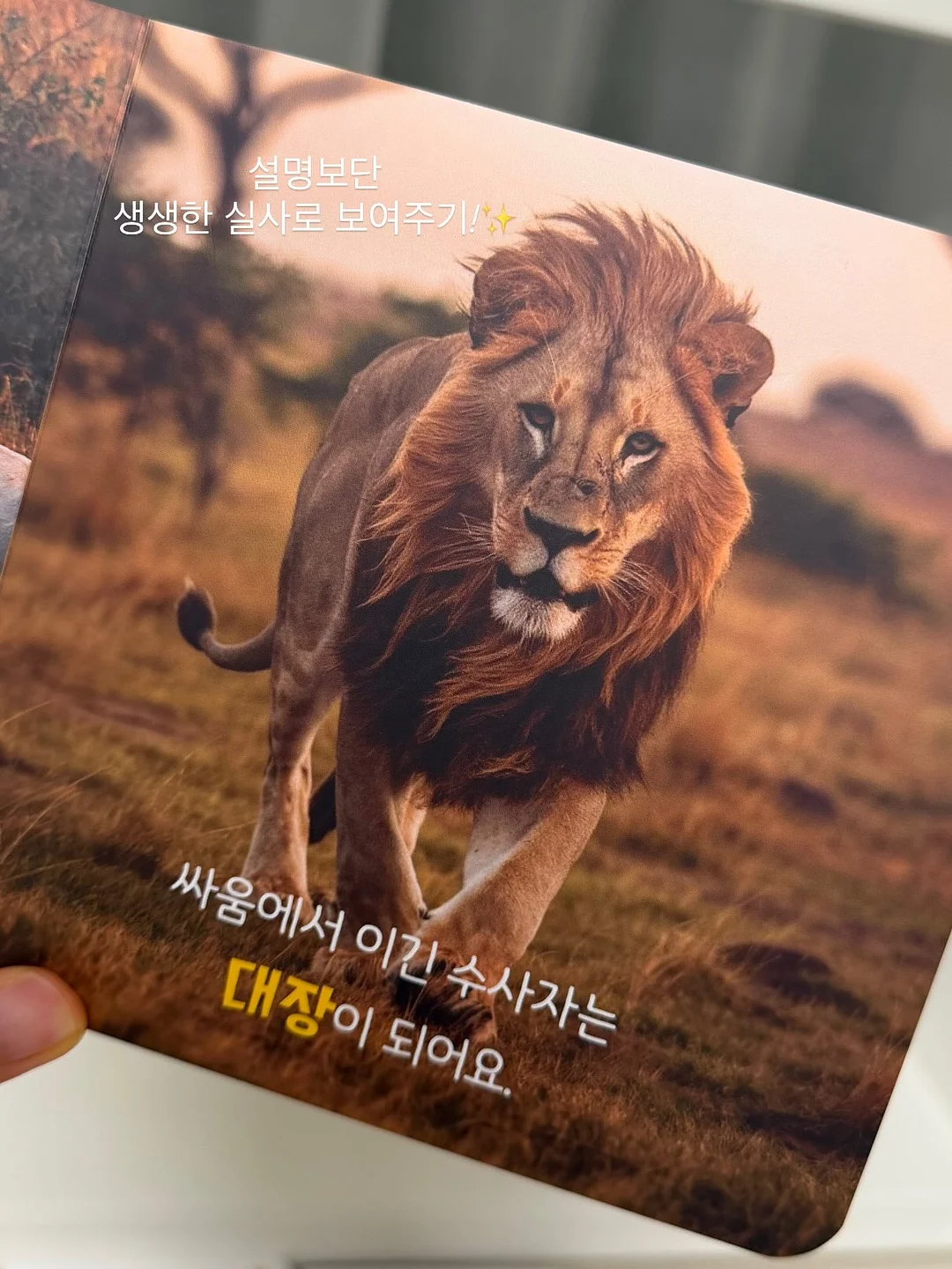 민트색 코디 7