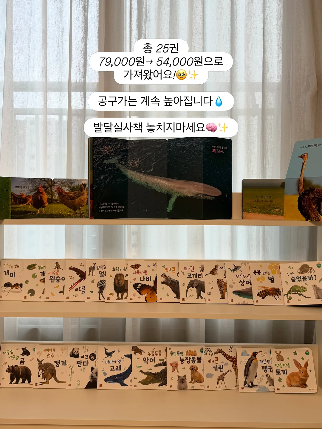 민트색 코디 10