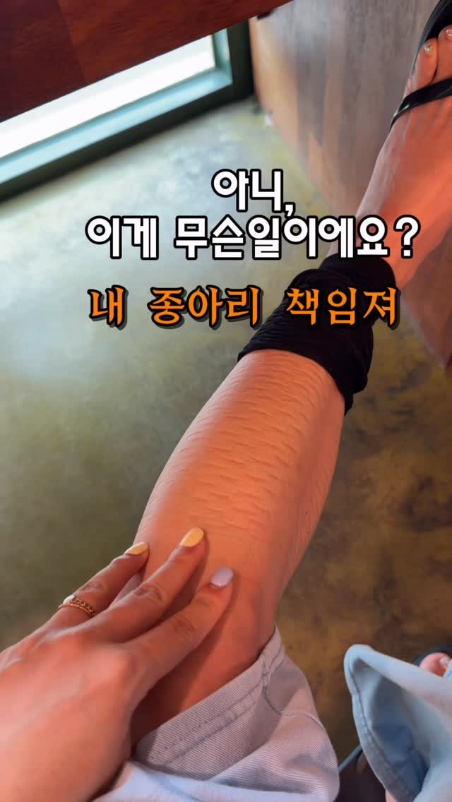 원목 자동 사료 디스펜서