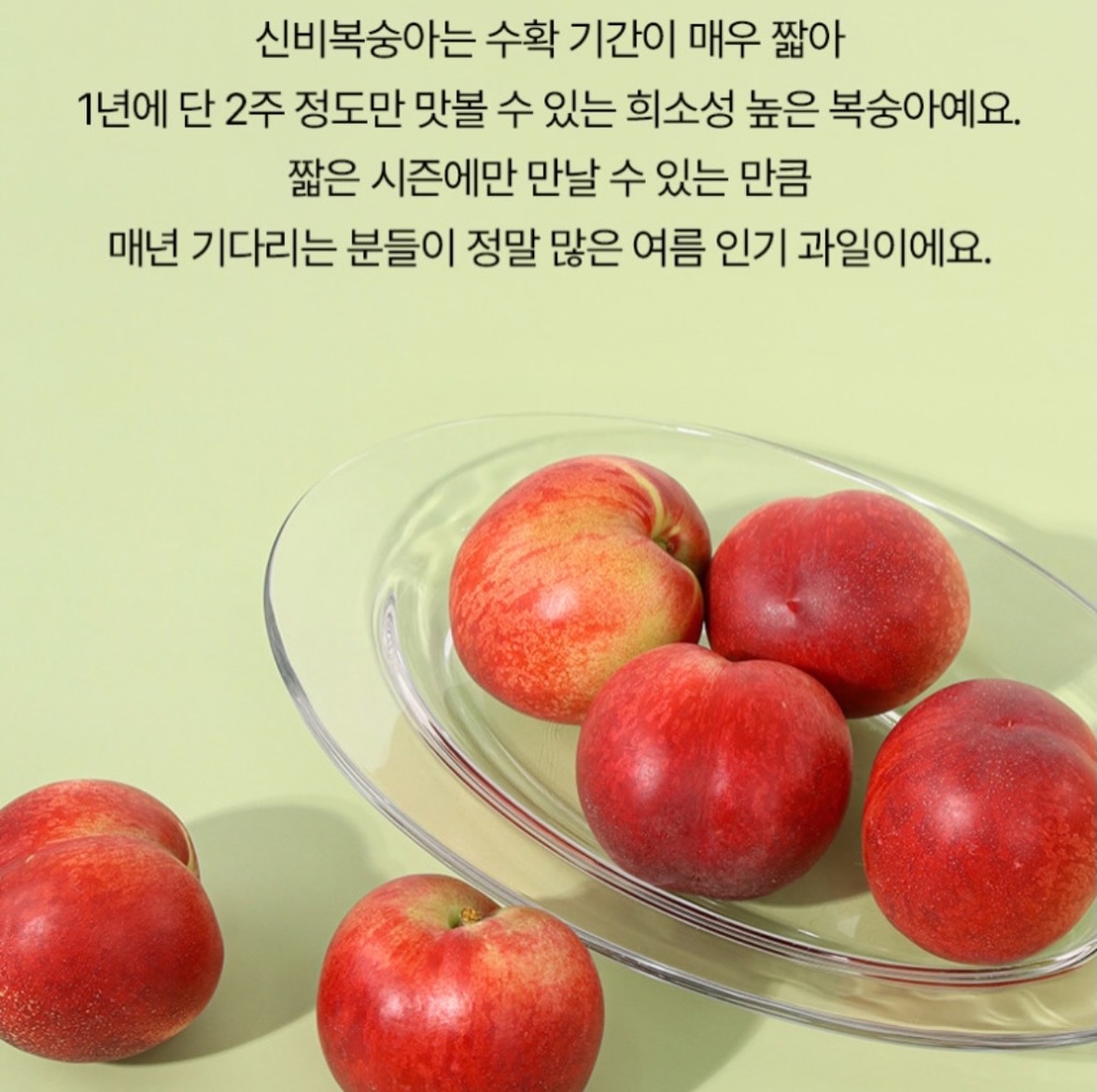 오뛰르 친환경 주방세제, 비건 핸드워시 7