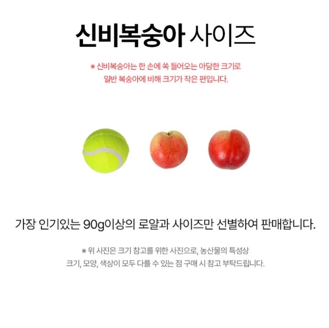이노러버 이노시톨 10