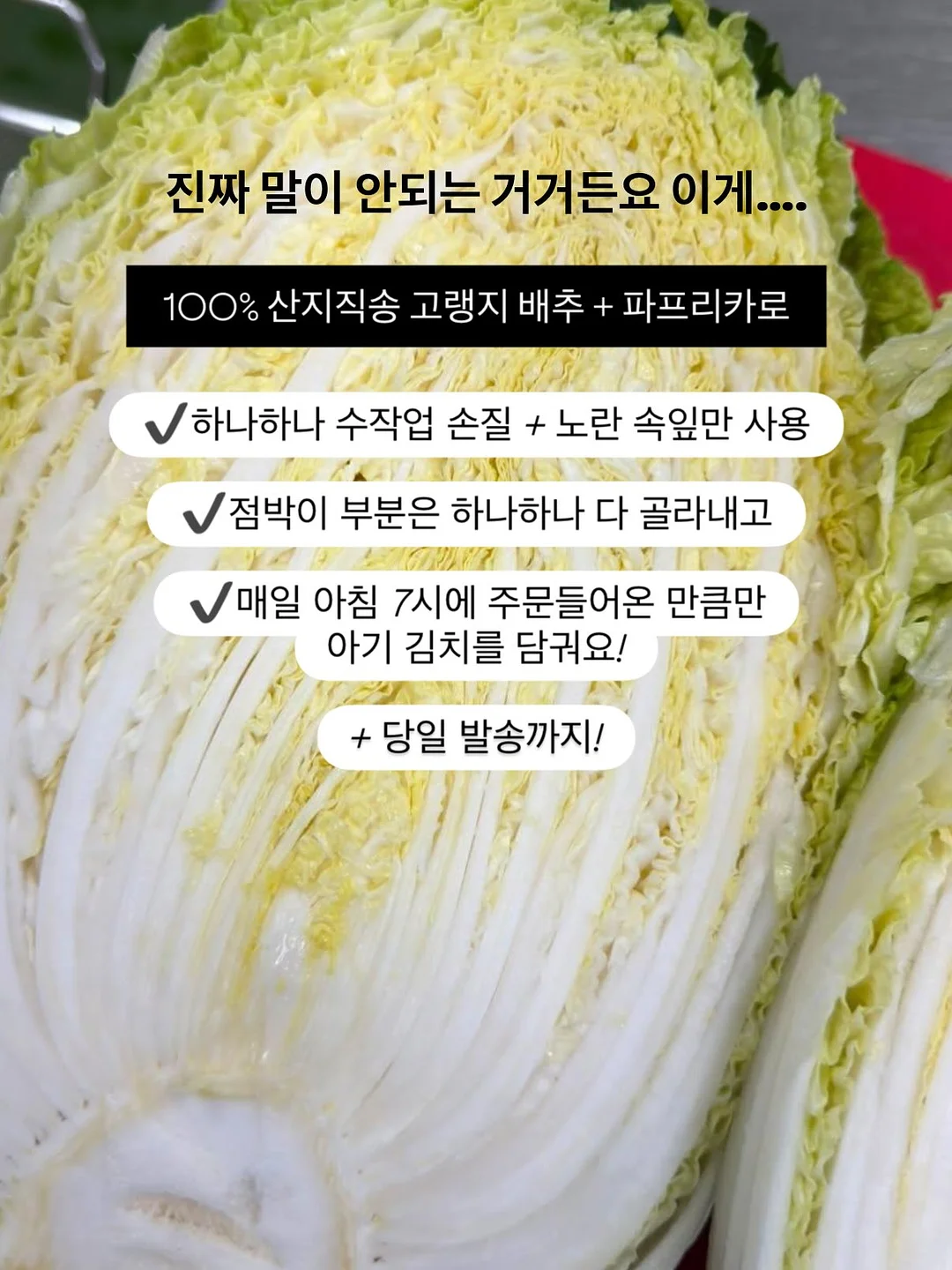 스트라이프 셔츠와 스커트 13