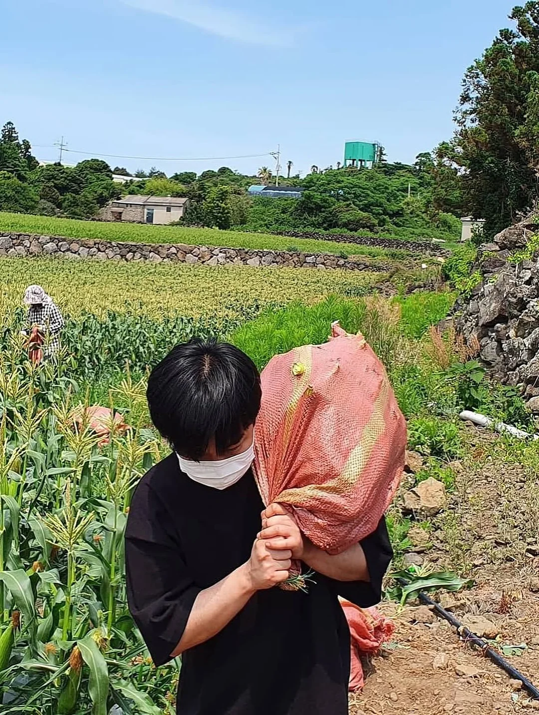 후르츠산도 11