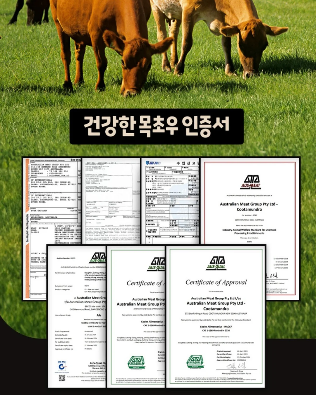 당근마켓 매출 성장 13