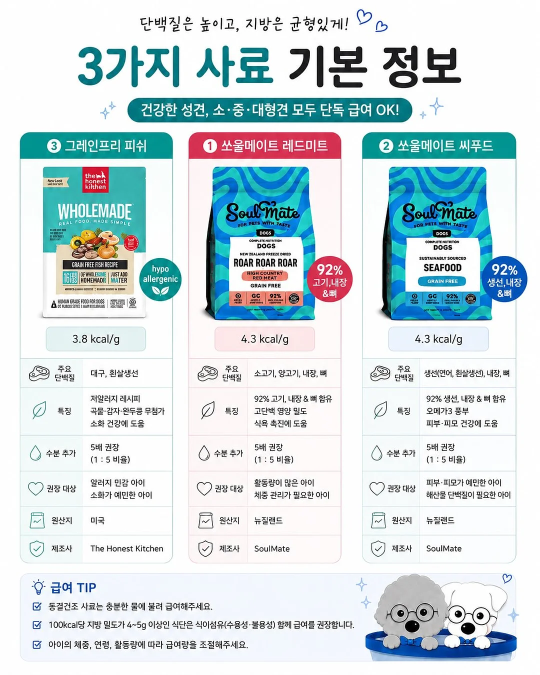 수박 디톡스 주스 레시피 2