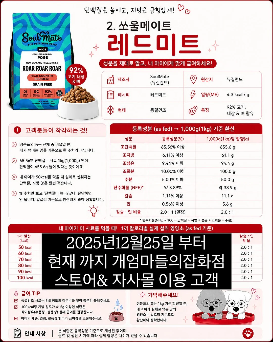수박 디톡스 주스 레시피 5