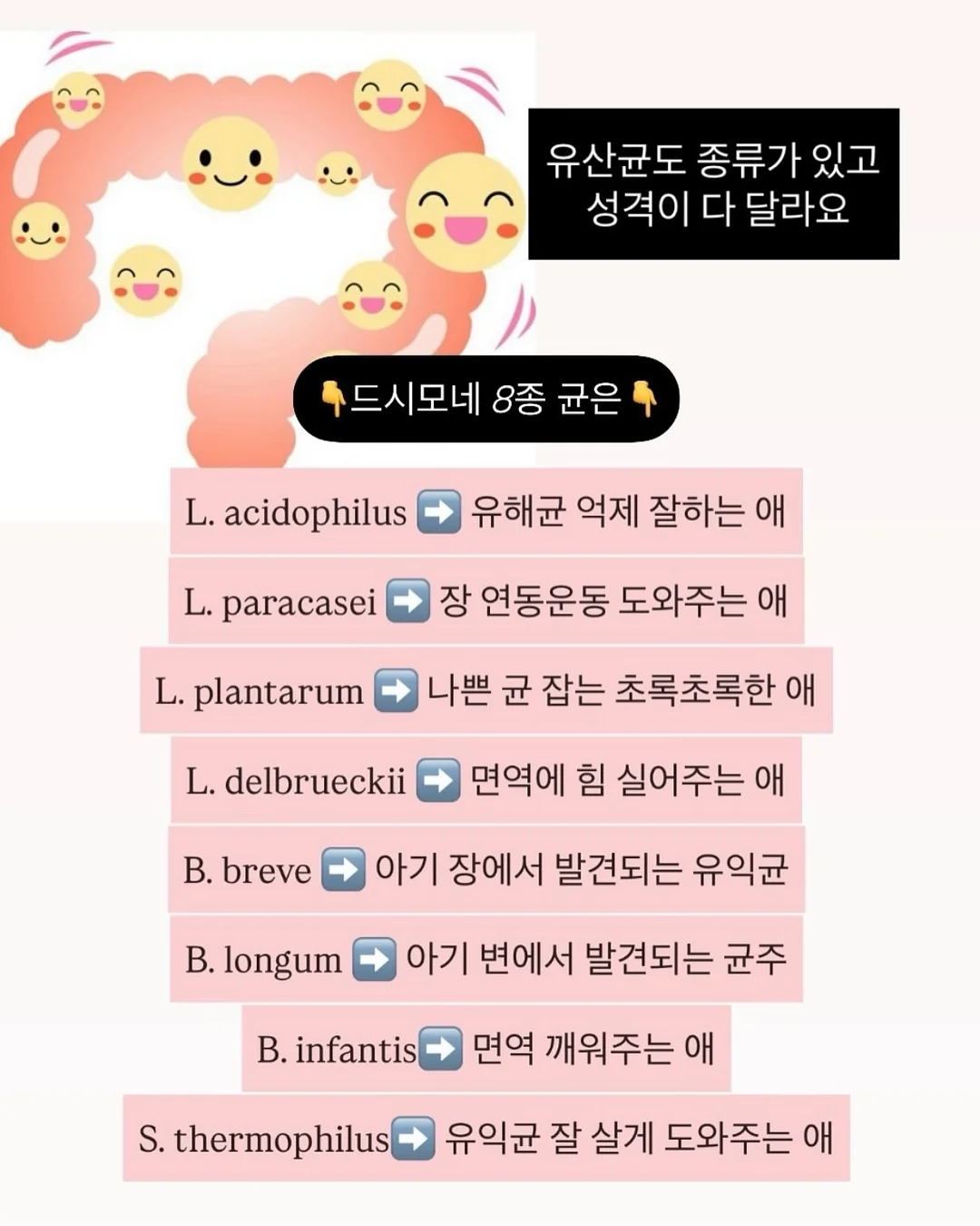 크롬하츠 홀스슈 백로고 후드 집업 12