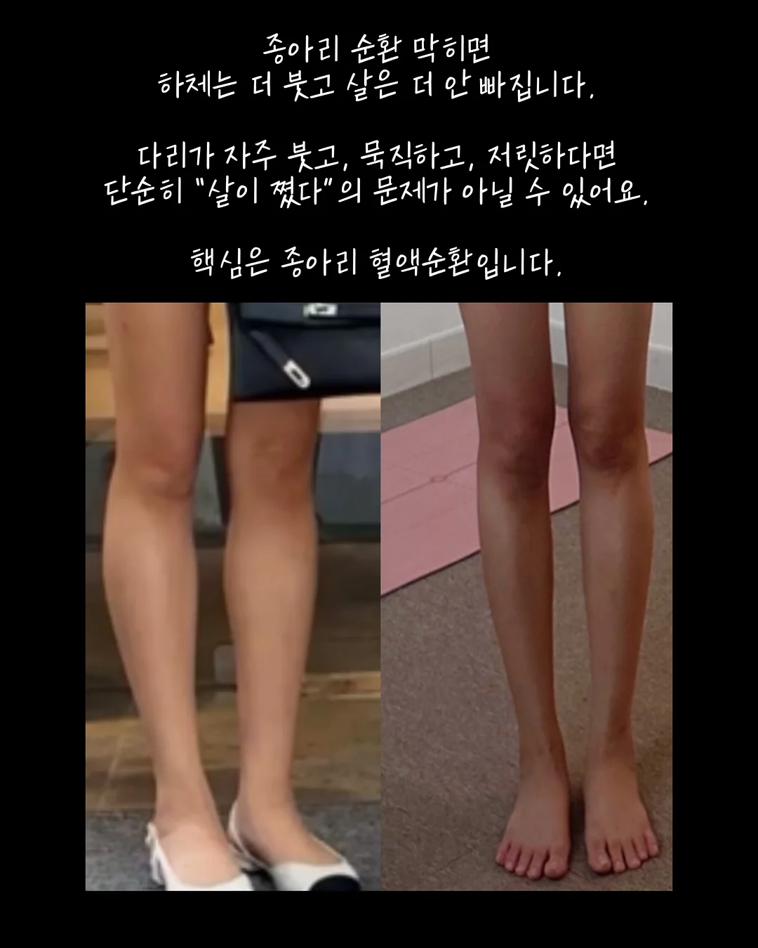 프리미엄 과외 2