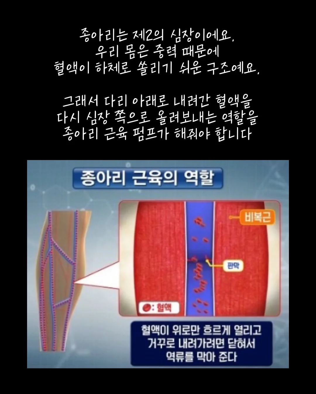 프리미엄 과외 3